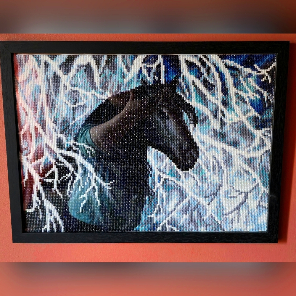 NWOT Handmade Framed Diamond Painting - "Black & White"